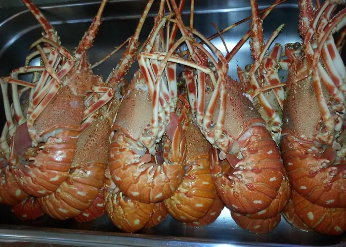 Jagodna Appartamento *